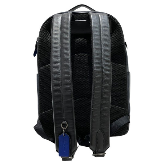 Coach Diagonal Stripe Graham Backpack C1364