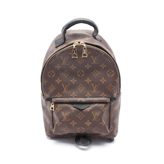 Louis Vuitton Palm Springs Backpack PM Monogram M44871