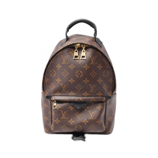 Louis Vuitton Palm Springs PM Backpack Monogram