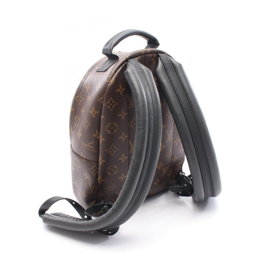 Louis Vuitton Palm Springs Backpack PM Monogram M44871