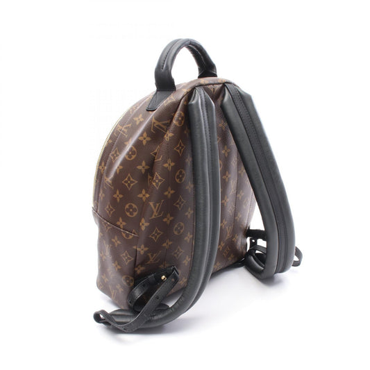 Louis Vuitton Palm Springs Backpack MM Monogram