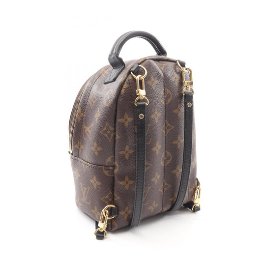 Louis Vuitton Monogram Palm Springs Mini Backpack M44873