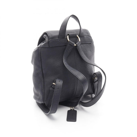 Coach Leather Mini Billy Backpack F37621