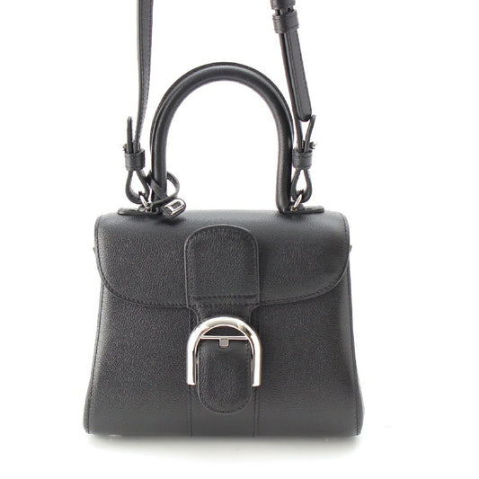 Delvaux Brillant Mini Rodeo Calf Leather 2way Bag