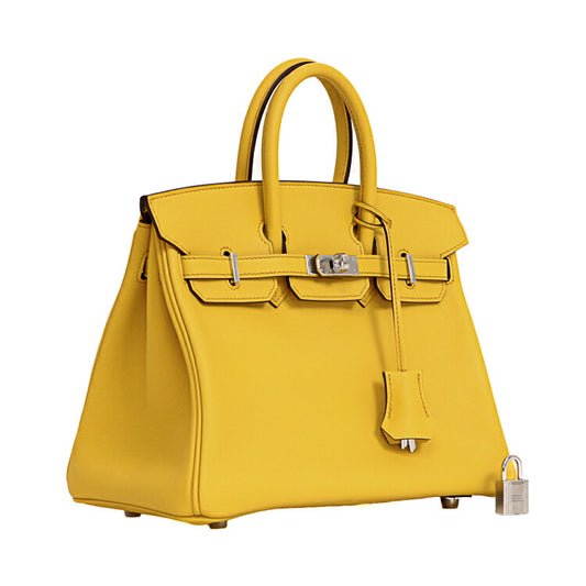 Hermes Birkin 25 Handbag Swift Leather