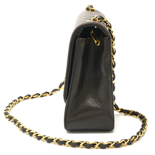 Chanel Diana 25 Lambskin Crossbody Bag